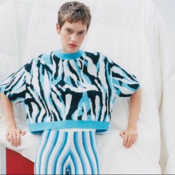 Zara Zebra Print Short Sleeves Sweater - Picture 3 of 9